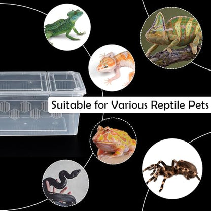 6 Pack Reptile Feeding Box Breeding Box Transparent Hatching Container Plastic Feeding Box for Small Reptiles Amphibians Spiders Scorpions Geckos Tortoises Treefrogs (Small Size)