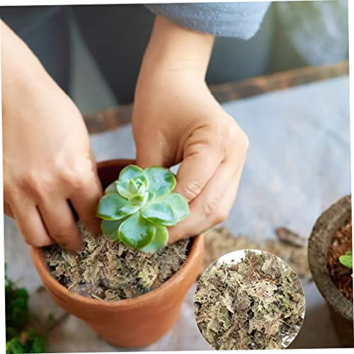 Sphagnum Moss Dried Spagnum Dry Moss for Reptiles Bedding and Terrarium Pet Supplies 150g Sphagnum Dried Dry for Reptiles Reptile Spagnum for Plants