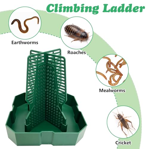 2PCS Reptile Hunting Bowl,5.8"×5.8"×6.1" H Insect Feeding Box with Rope and Tweezers Chameleon Feeder Bowls Hanging Bearded Dragon Bug Bowls Mounted Insect Reptile Feeder Box (Green,Large) - color: Green, size: Large:5.8"L×5.8"W×6.1"H