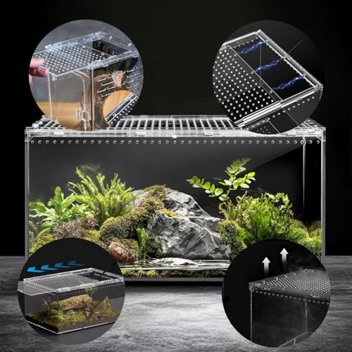 Insect breeding Box Reptile Feeding Box, Waterproof Enclosure Enclosure for arboreal Tarantula Scorpion Sling Lizards Snake Gecko Jumping Spider Snail Isopods, Reptile breeding Box (8x6x4 Inch) ﻿