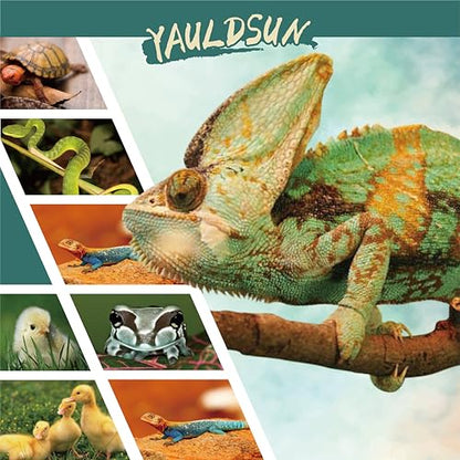 Reptile Heat Lamp 100W Amphibians UVA Daylight Basking Spot Light Bulb for Reptiles, Lizard, Tortoise, Bearded Dragon,Chicken 4 Pack