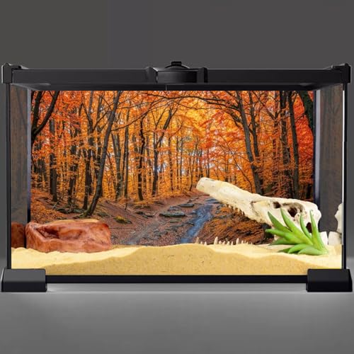 AWERT 30x18 inches Reptile Habitat Background Fallen Leaf Forest Streams Rocks Autumn Background Nature Art Terrarium Background - size: 30x18in/75x45cm
