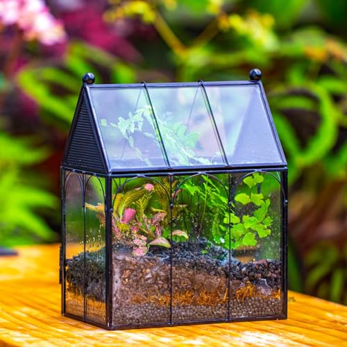 NCYP Small Glass Terrarium Enclosure with Mesh for Jumping Spiders, Micro House Shaped Small Spiders Vented Glass Terrarium, Home Decor Black, 5.8" x 3.8" x 7" (No Plants) - size: 5.8" x 3.8" x 7"