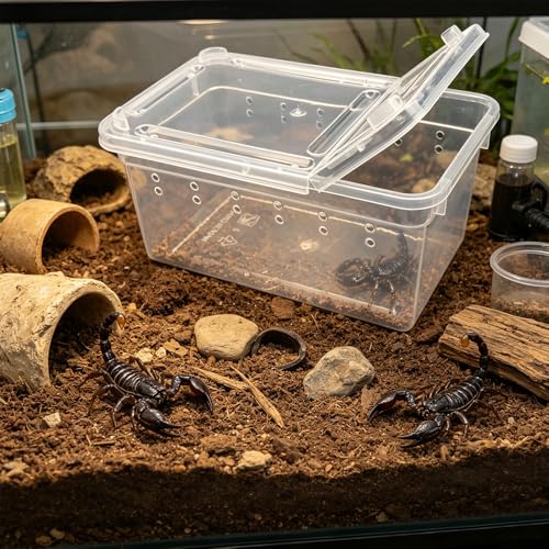 12 Pcs Mini Reptile Feeding Box, 3.6 x 2.1 x 1.9 inch Plastic Spider Terrarium Breeding Container with Ventilation Holes, Transparent Habitat Cage for Jumping Spider Tarantula Scorpion Gecko Insect