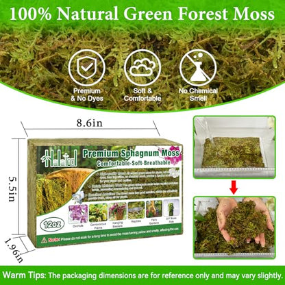 Halatool 12 OZ Natural Green Forest Moss, 18 QT Long Fiber Sphagnum Moss | No Dyes, Water Retention & Areation, Dried Orchid Moss for Potted Plants Indoor & Outdoor, Orchids Repotting, Terrariums - size: 12 oz
