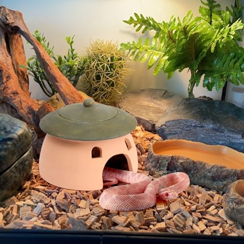 Frog and Toad House 8 x 6Inch Toad House for Outside Garden Reptile Cave Red Pottery Ceramics Small Reptile Cave Hide Reptile Hides and Caves Snake Toad Frog Turtle House Green with Lid