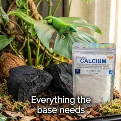 Day Gecko Bioactive Kit - 17qt Premium Bioactive Substrate + 2qt Leaf Litter + 2qt Sphagnum + Charcoal Iso-Flats Hide + 3oz Calcium + 25 Dwarf White Isopods + 8oz Tropical Springtails