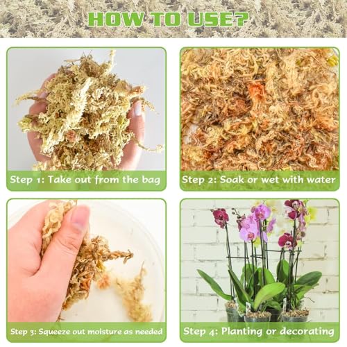 6 oz Sphagnum Moss for Plants Indoor, Long Fiber Natural Orchid Moss for Repotting Carnivorous Plants, Succulents, Monstera, Flower & Reptile Terrariums Habitats (Expands to 8 qt) - size: 6 ounces