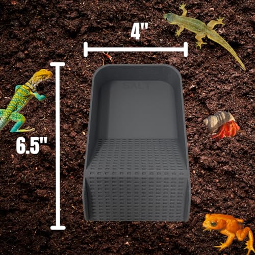 Hermit Crab Watering Pool | Platform Pool Accessory with Access Ramp for Hermit Crabs | 6.5" x 4" | Made in USA (Salt Only, Gray) - color: Salt Only, Gray