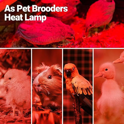 REPTI ZOO Reptile 50W Infrared Heat Lamp Bulb,2 Pack Infrared Basking Spot Light for Reptiles & Amphibian,Bearded Dragon,Leopard Gecko,Turtle,Lizard,Chickens | Pet Brooders Night Heat Lamp - style: 50W/Infrared Lamp