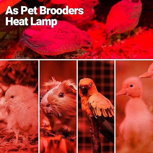 REPTI ZOO 150W Infrared Heat Lamp Bulb for Reptile, 2 Pack Infrared Basking Spot Light for Reptiles & Amphibian,Bearded Dragon, Leopard GeckoTurtle,Lizard, Chickens | Pet Brooders Heat Lamp - style: 150W/Infrared Lamp