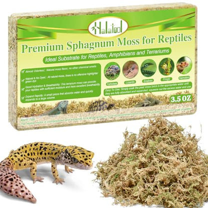 Sphagnum Moss for Reptiles, 3.5 oz Natural Terrarium Bedding Substrate | Long-fibered Sphagnum Moss for Reptile, Holds Humidity for Bearded Dragons, Geckos, Snakes, Turtles, and Hermit Crabs - size: 3.5oz
