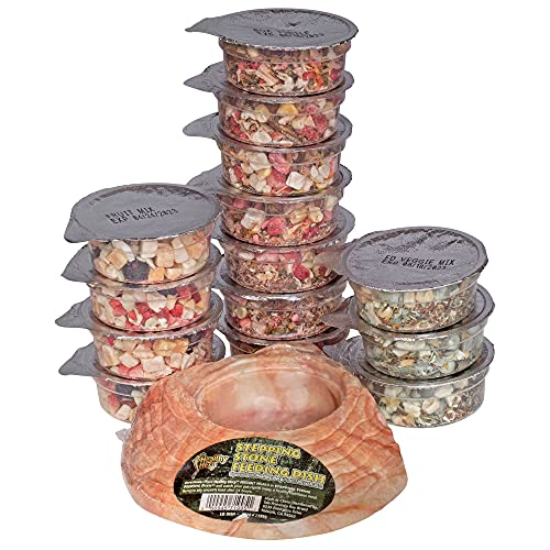 Healthy Herp Box Turtle Food Instant Meal for Reptiles - Nutritious Turtle Food, Tortoise Habitat Accessories - Made in USA - for Box Turtles, Lizards, Tortoises - Variety Pack (14 Cups & 1 Dish) - size: 2.65 Ounce (Pack of 1), style: 14-Pack Cups