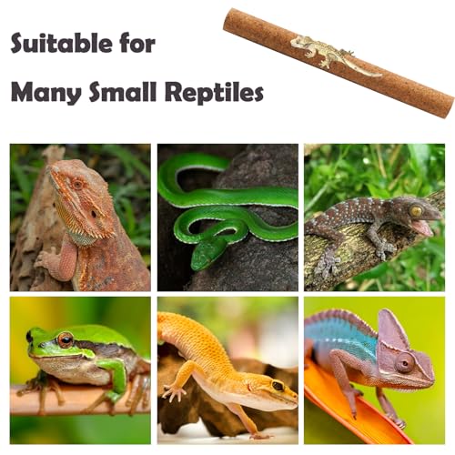 PINVNBY 2 Pcs Reptile Branches for Climbing,Natural Lizard Cork Stick Bearded Dragon Tree Branch Habitat Log Decor for Tree Frog Snake Crested Gecko Spider Chameleon - size: L:15.75”Lx1.65”Wx1.65”H