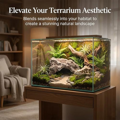 Anxingo Reptile Rock Reptile Cave Hideout for Snakes/Geckos/Lizards/Turtles and Other Amphibians, with Dinosaur Skull (Large) - size: L