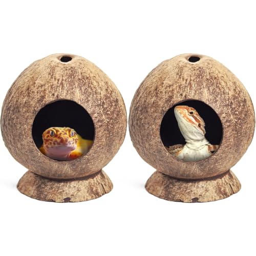 PINVNBY 2 Pcs Natural Coconut Shell Reptile Hide Crested Gecko Tank Accessories for Small Lizard Leopard Gecko Spider Snail Hermit Crab Hideout - size: High-Crowned Style, 2PCS