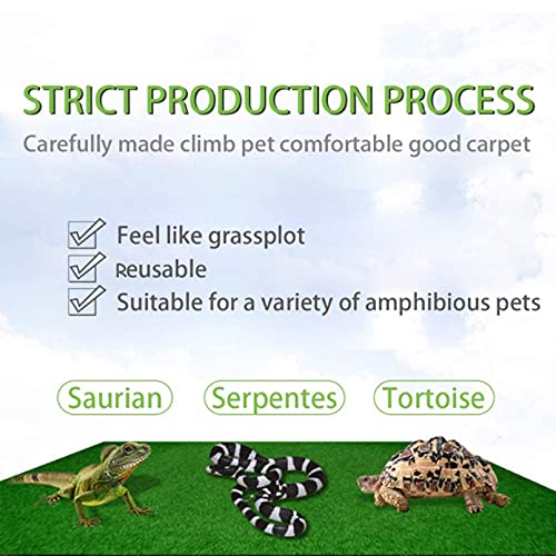 Tfwadmx Reptile Carpet, 2 Pack of Bearded Dragon Mat Terrarium Substrate Liner Bedding for Snake Turtle Lizard Geckos Hermit Crabs (24'' X 16'') - color: 2 PCS, size: 24'' X 16''