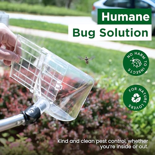 Bug Catcher Container & Extendable Stainless Steel Stick | See-Through Insect Trap for Spiders, Ants, Lizards | Humane Bug Catcher for Home | Educational Tool for Kids & Adults
