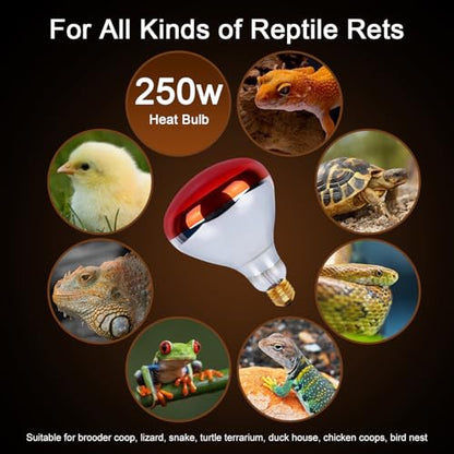 250W Heat Lamp Red Infrared Bulbs, Flood Light Heat Lamp Bulb for Food Service, Brooder Bulb, Chicks, Pet, Bathroom, Light Therapy Use, Glass, 2 Pack - style: Red Infrared -250W-2Pack