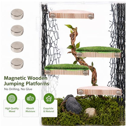 2 in 1 Jumping Spider Enclosure Accessories - Magnetic Feeding Dish with Jumping Wood Ledges | Acrylic Water Bowl Food Dish Habitat Decor for Tarantula Small Spider Reptile