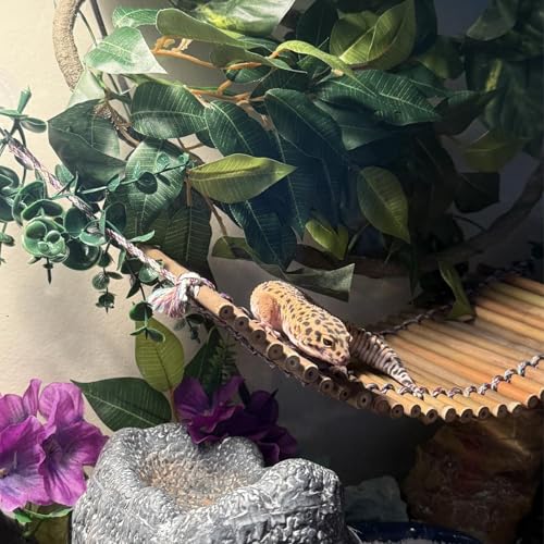 Reptile Bamboo Climbing Bridge,Lizard Ladder Hammock Bridge Bearded Dragon Hanging Bamboo Ladder Lounger Lizard Hammock Terrarium Vines Decor Reptile Habitat Tank Accessories for Chameleon Gecko - style: M【12.0 x 6.1 In】