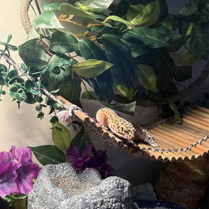 Reptile Bamboo Climbing Bridge,Lizard Ladder Hammock Bridge Bearded Dragon Hanging Bamboo Ladder Lounger Lizard Hammock Terrarium Vines Decor Reptile Habitat Tank Accessories for Chameleon Gecko - style: M【12.0 x 6.1 In】