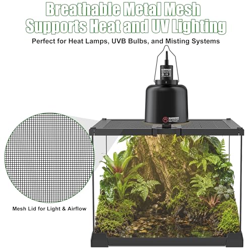 Mini Glass Reptile Enclosure Terrarium 8"x8"x6" | Top-Opening Mesh Lid with Feeding Hole, Fully Assembled Tank for Tarantulas, Isopods,Froglets & Tiny Reptiles - size: 8" x 8" x 6"