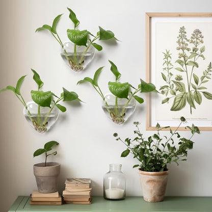 Wall Hanging Planter Propagation Station for Indoor Plants Glass Wall Plant Station for Flowers, Hydroponics PlantsBathroom, Home Office Living Room Decor - 3 Sets, Heart