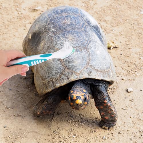 SUPVOX 2pcs Double-Sided Turtle Shell Cleaning Brush for Aquatic Turtles and Tortoises, Portable Mini Household Mud Remover Scrub Tool for Reptile Tank Maintenance