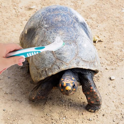 SUPVOX 2pcs Double-Sided Turtle Shell Cleaning Brush for Aquatic Turtles and Tortoises, Portable Mini Household Mud Remover Scrub Tool for Reptile Tank Maintenance