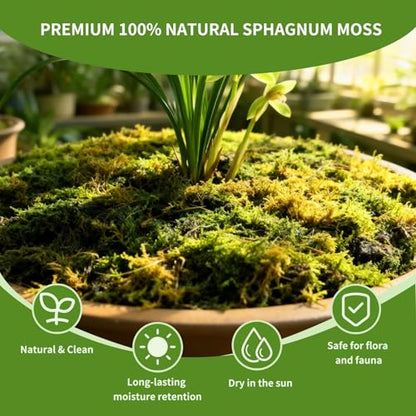 Compressed Sphagnum Moss for Plants & Reptiles (3pc)– Dried Peat Moss, Moisture-Retentive for Indoor Plants, Orchids, Terrariums, Reptile Bedding (100% Natural, Reptile-Safe - size: 3PCS