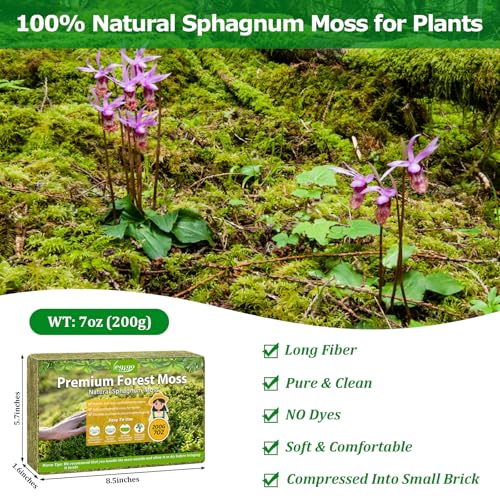 7OZ Sphagnum Moss for Plants, 10QT Natural Long Fiber Orchid Moss | Drainage & Moisture Retention, Green Plant Moss for Orchid Repotting, Carnivorous, Succulents, Reptile Bedding & Terrariums - size: 7OZ