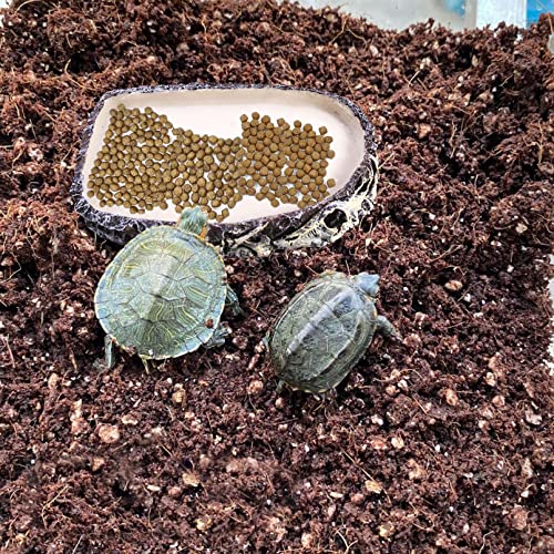Tfwadmx 2 Pack Reptile Water Bowl, Reptile Feeding Dish, Bearded Dragon Water Dish, Turtle Feeding Bowl for Tortoises, Snakes, Lizards, Geckos, Chameleons - color: Bowl-2Pcs