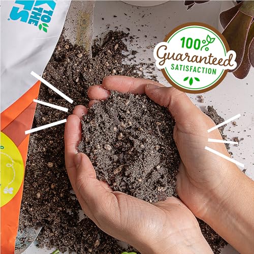 Back to the Roots 100% Organic Succulent & Cacti Mix (Value 12 Quart) | Made in the USA - size: 12 Quart, style: Suculent & Catcti Blend