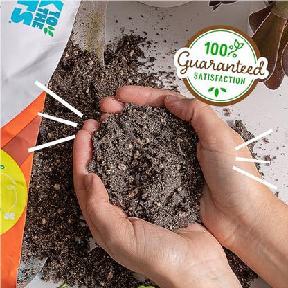 Back to the Roots 100% Organic Succulent & Cacti Mix (Value 12 Quart) | Made in the USA - size: 12 Quart, style: Suculent & Catcti Blend