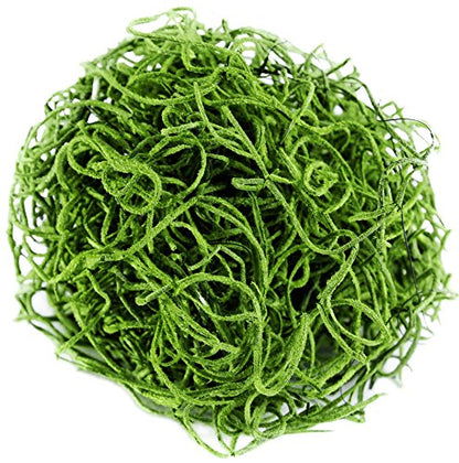 SuperMoss (26907) Spanish Moss Preserved, Grass, 4oz, 120 cubic in Bag (Appx. 4oz) (7 59834 26907 6) | Decorative Moss for Crafts, Potted Plants & Fairy Gardens, Vase Filler & Floral Arrangements, Indoor/Outdoor Garden Projects