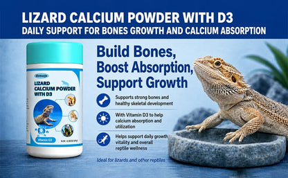 Lizard D3 Calcium Powder—Organically Extracted—Powder (2.82 oz)