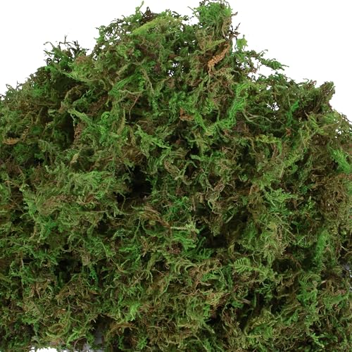 USMOLA Fake Moss for Potted Plants Indoor, 2LBS Large Capacity Artificial Green Moss for DIY Crafts, Faux Moss for Table Centerpieces Fairy Garden Terrariums Decor (32OZ)