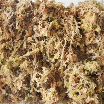 11 oz Sphagnum Moss for Plants, Carefully Selected Clean Sphagnum Mos for Rooting Plants - size: 11 oz