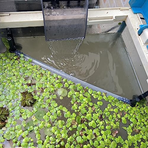 HOZOE Floating Plant Fence for Aquarium, Separates Plants, Automatically Adjusts Height with Water Level, Suitable for Most Aquariums. (1 PCS) - style: 1 PCS
