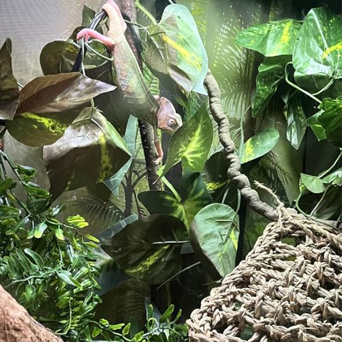 Gecko Coconut Hideout with Ladder,Reptile Hammock Plants Vines Jungle Terrarium Decor Tank Accessories for Crested Geckos,Leopard Geckos,Lizard,Snakes,Tree Frogs - style: 【Style D】