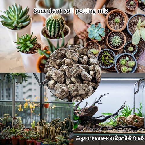 Succulent Cactus Soil Potting Mix:Indoor Bonsai Soil for Plants,Orchid Potting Mix,Aquarium Rocks for Fish Tank,Gardening DIY Gravel for Plants,Drainage and Breathable,2.2 lbs/1kg (2.2 lbs) - style: 2.2 lbs