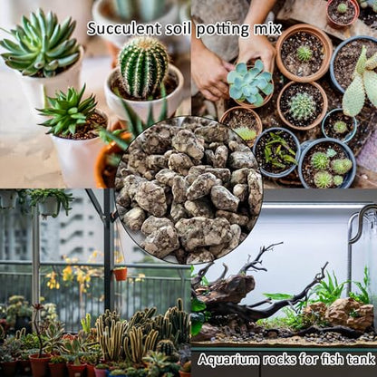 Succulent Cactus Soil Potting Mix:Indoor Bonsai Soil for Plants,Orchid Potting Mix,Aquarium Rocks for Fish Tank,Gardening DIY Gravel for Plants,Drainage and Breathable,2.2 lbs/1kg (2.2 lbs) - style: 2.2 lbs