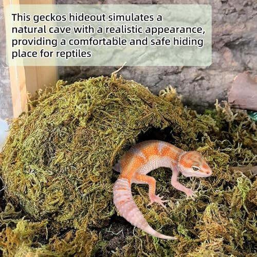 Tfwadmx 1PCS Leopard Gecko Hide, Coconut Reptile Hides Cave, Snake Hideout Mossy Caves Climbing Hide Reptile Tank Decor for Lizard Gecko Hermit Crab