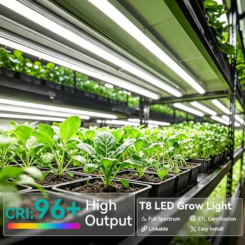 JESLED 4FT Grow Lights, 5000K Full Spectrum Sunlight White, V-Shaped Beam | 96W(2 X 48W), 600W Equiv, On/Off Switch, T8 LED Grow Light Strips for Seed Starting, Greenhouse, Growing Shelf, 2-Pack - size: 4FT-2P
