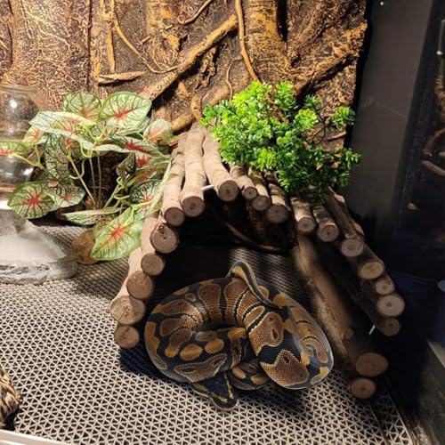 Hamiledyi Extra Large Tortoise Hide Reptile Hiding Cave Turtle Hut Gecko Hideaway Climbing Tunnel Toy Lizard Bendable Wooden Bridge for Adult Bearded Dragon Snake Chameleon Habitat Accessories - size: XL-19.7 x 11.8 -2 PACK