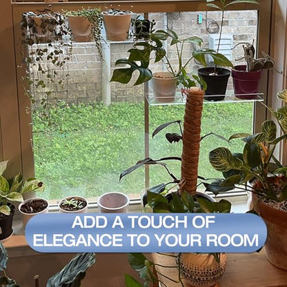 2 Pack 12 Inch Acrylic Window Boxes Plant Shelves, with Suction Cup Window Sill Extender, for Indoor/Outdoor Succulents, Micro Greens, Seed Starter Pots, Herb Planters - size: 12IN-2PC