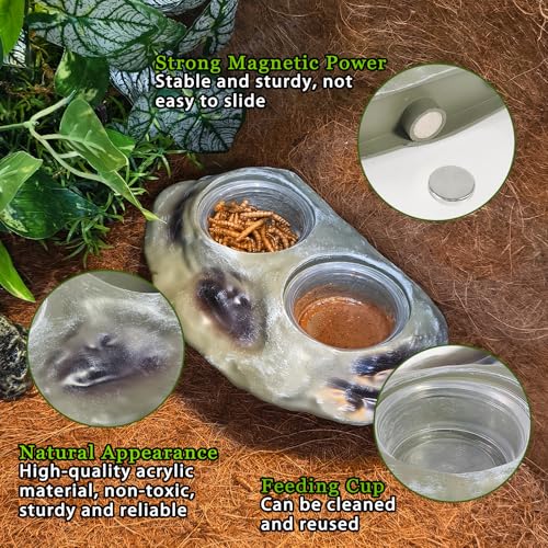 Tfwadmx Magnetic Reptile Feeder Ledge, Gecko Feeder Ledge with 4 Cups Reptile Feeding Bowl Terrarium Accessories for Geckos Lizards Chameleons Frog (White) - color: White