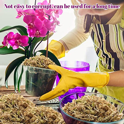 4QT Sphagnum Moss for Plants - 3.5OZ Natural Long Fibers Orchid Moss | Moisture Retention & Drainage Balance, Plant Moss for Orchids, Succulents, Carnivorous, Ferns, Reptile Bedding & Terrariums - size: 4 QT(3.5 oz)