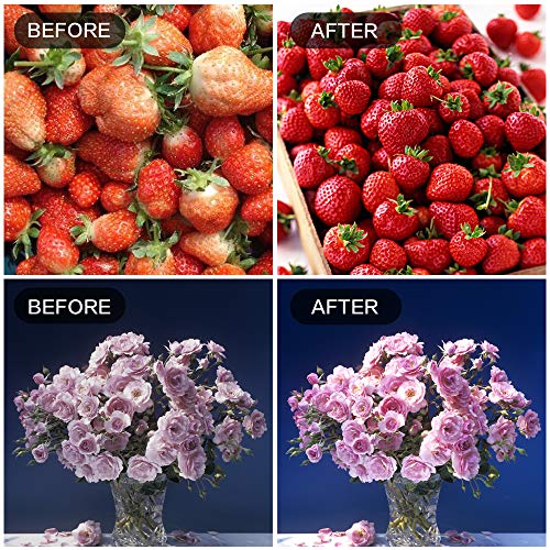 6 Pack LED Grow Light Bulbs，Full Spectrum Plant Light Bulb, 9W Replace 100W | 120V E26 Grow Bulb,Grow Light for Indoor Plants, Flowers, Greenhouse, Indore Garden, Hydroponic - size: 6 Count (Pack of 1)
